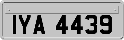 IYA4439