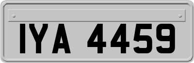 IYA4459