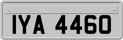 IYA4460