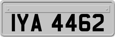 IYA4462