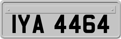 IYA4464