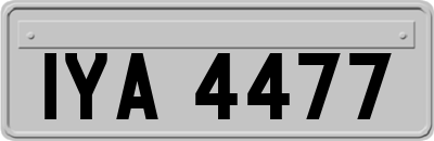 IYA4477