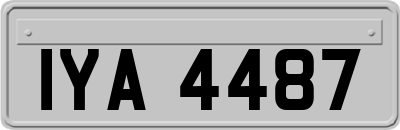 IYA4487
