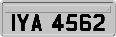 IYA4562