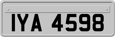 IYA4598