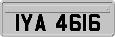 IYA4616