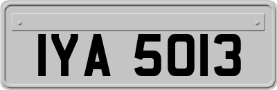 IYA5013
