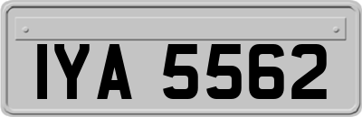 IYA5562