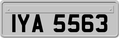 IYA5563