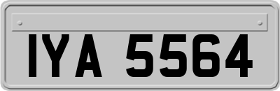 IYA5564