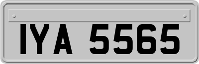 IYA5565