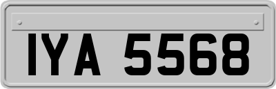 IYA5568