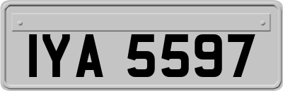 IYA5597