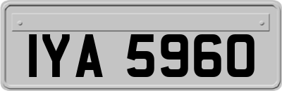 IYA5960