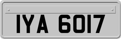 IYA6017