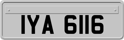 IYA6116