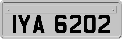 IYA6202