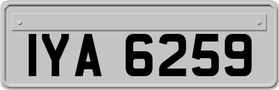 IYA6259