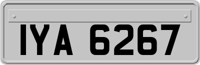 IYA6267