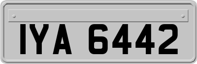 IYA6442