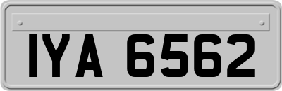 IYA6562