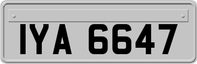 IYA6647