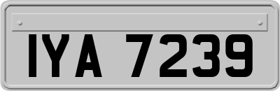 IYA7239