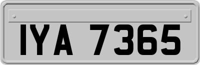 IYA7365