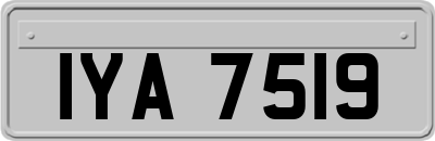 IYA7519