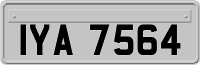 IYA7564