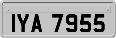 IYA7955