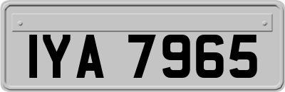 IYA7965