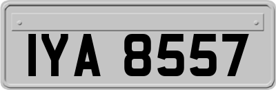 IYA8557