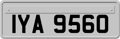 IYA9560