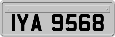 IYA9568