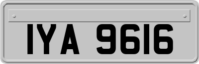 IYA9616