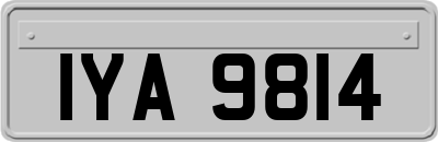 IYA9814