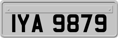 IYA9879