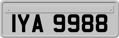 IYA9988