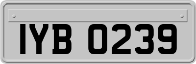 IYB0239