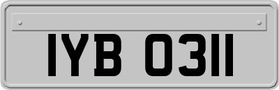 IYB0311