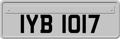 IYB1017