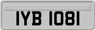 IYB1081
