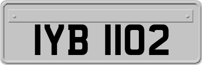 IYB1102