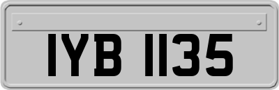 IYB1135