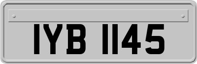 IYB1145