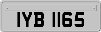 IYB1165