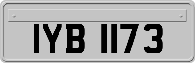 IYB1173