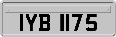 IYB1175