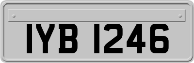 IYB1246